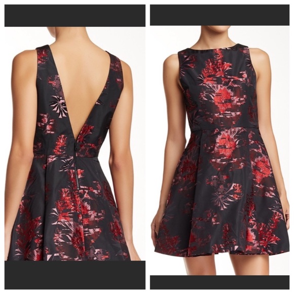 Alice + Olivia Dresses & Skirts - NWOT Alice + Olivia Jorah V Sz. 4